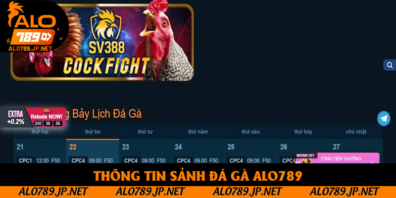 Thông tin sảnh đá gà Alo789