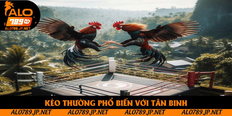 Kèo thường phổ biến với tân binh
